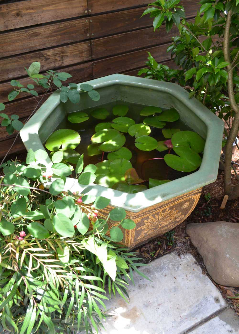 ろじにわの家／十色ハウス